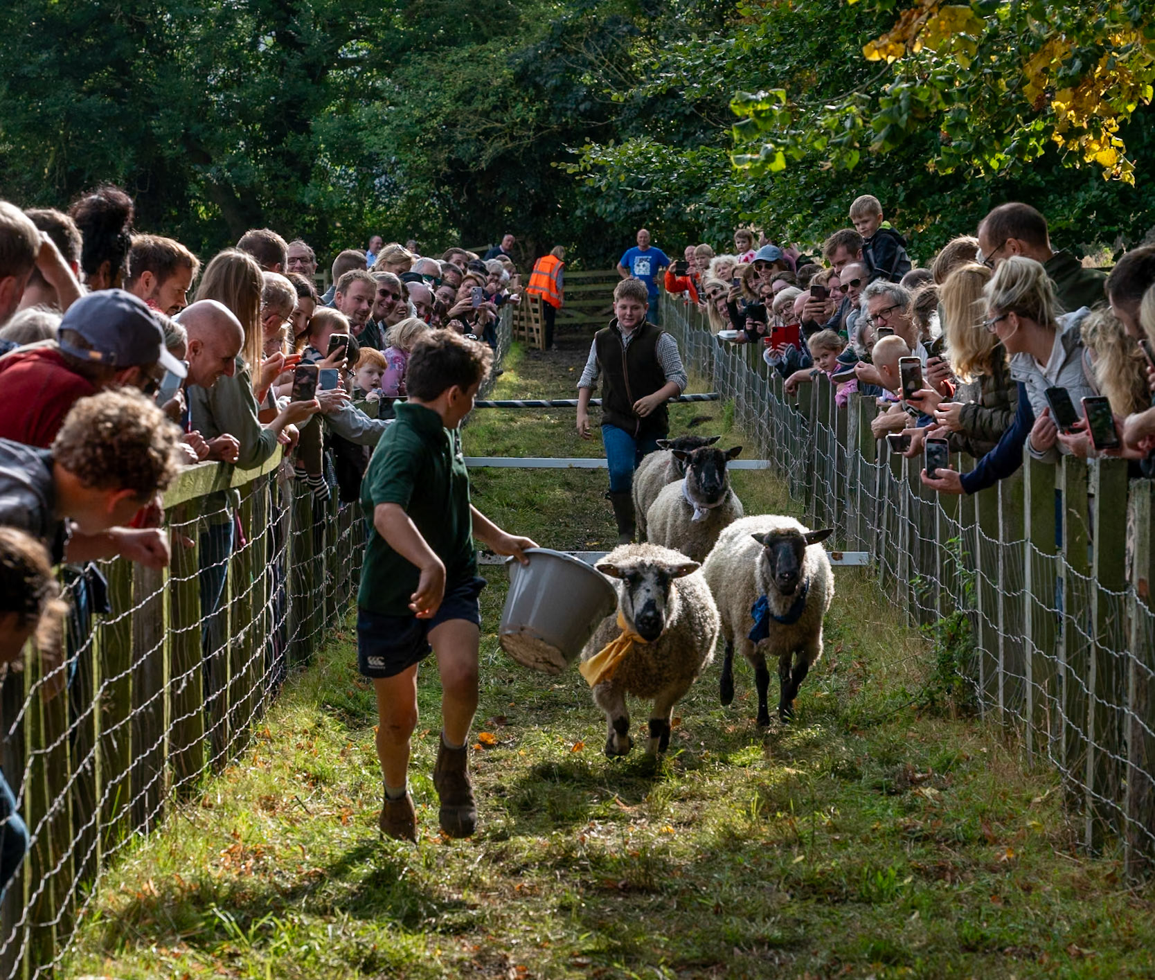 Masham Sheep Fair