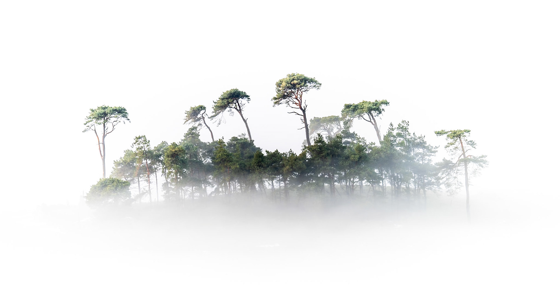 Lady Hill in Fog