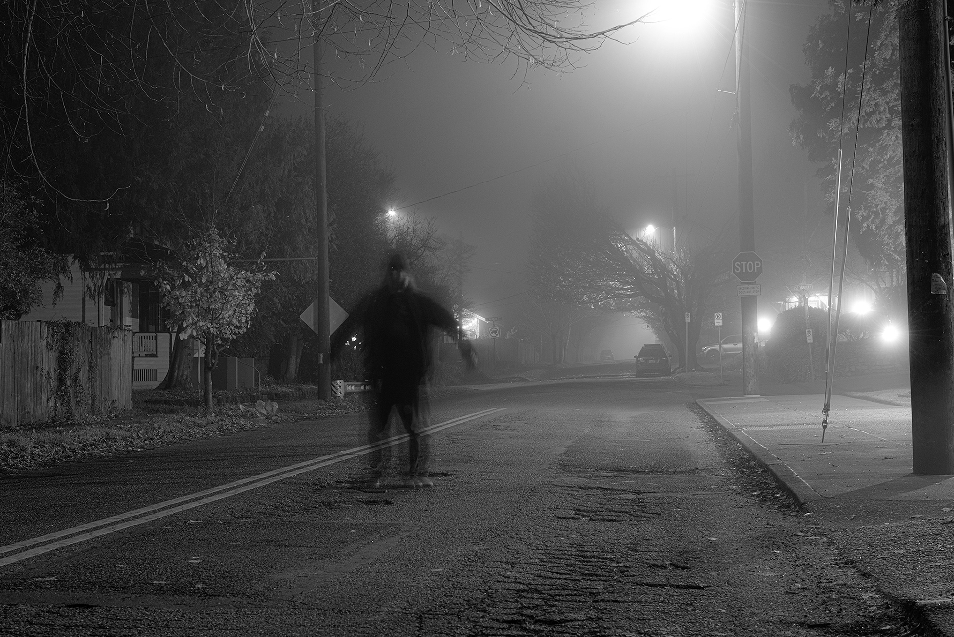 Man in the fog