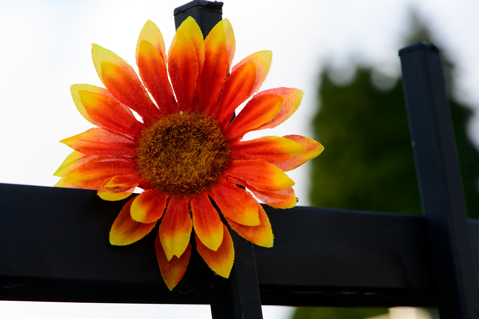 Fake Flower on a Metal Fence