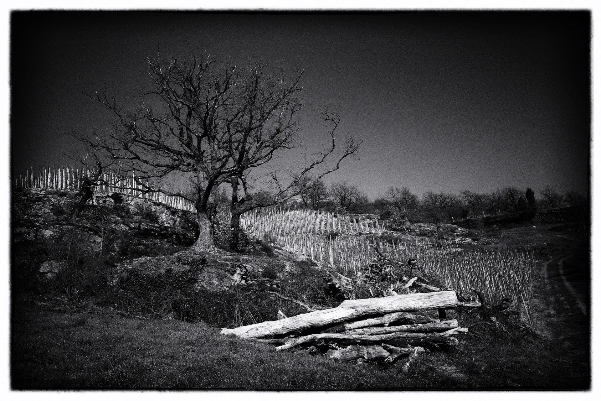 Vision d'avenir