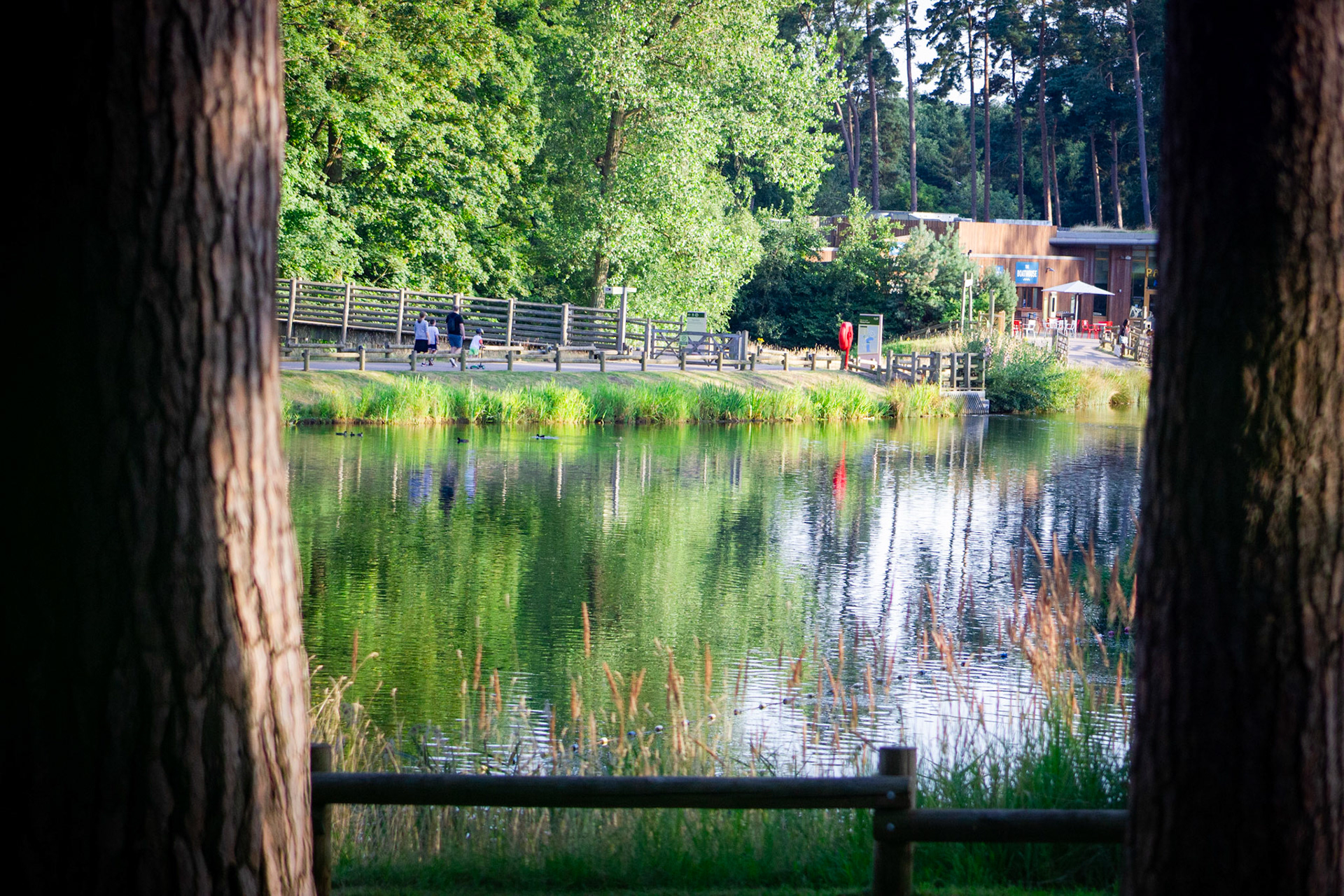 Center Parcs, Woburn Forest