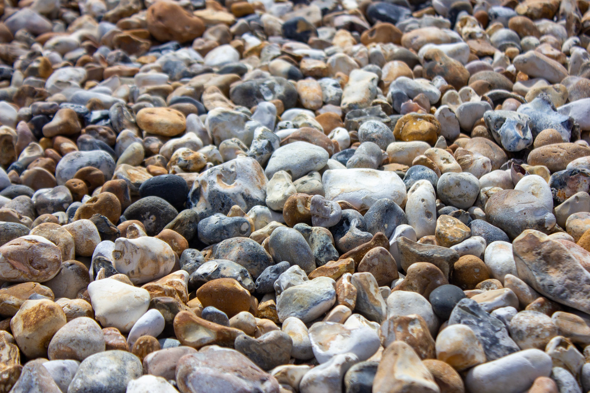 Pagham Beach