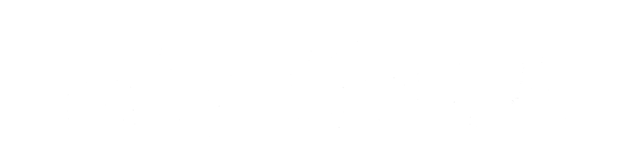 Max Studios