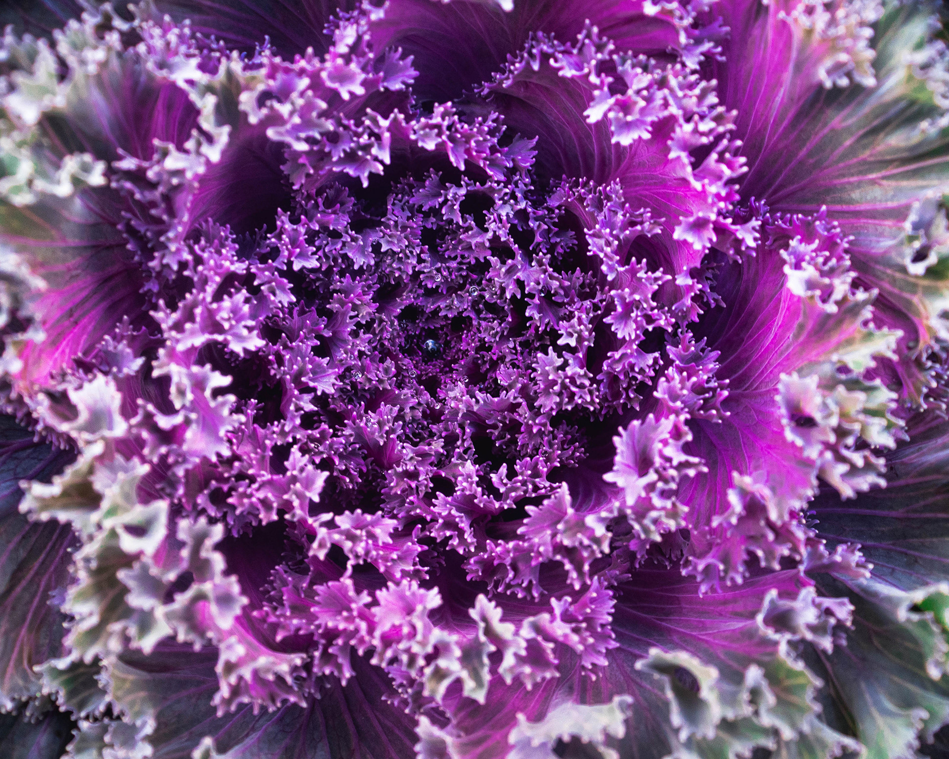 Spiral