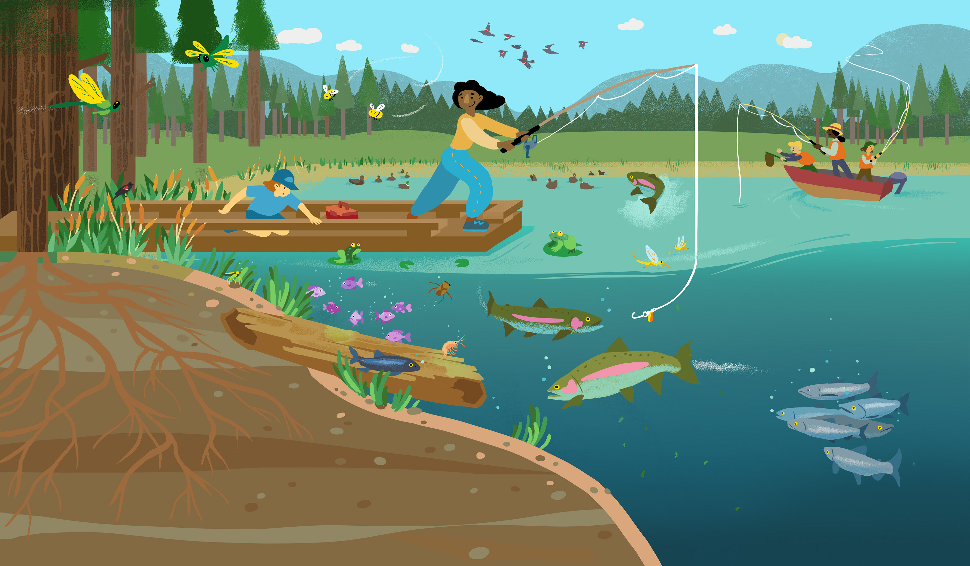 FFSBC educational illustration