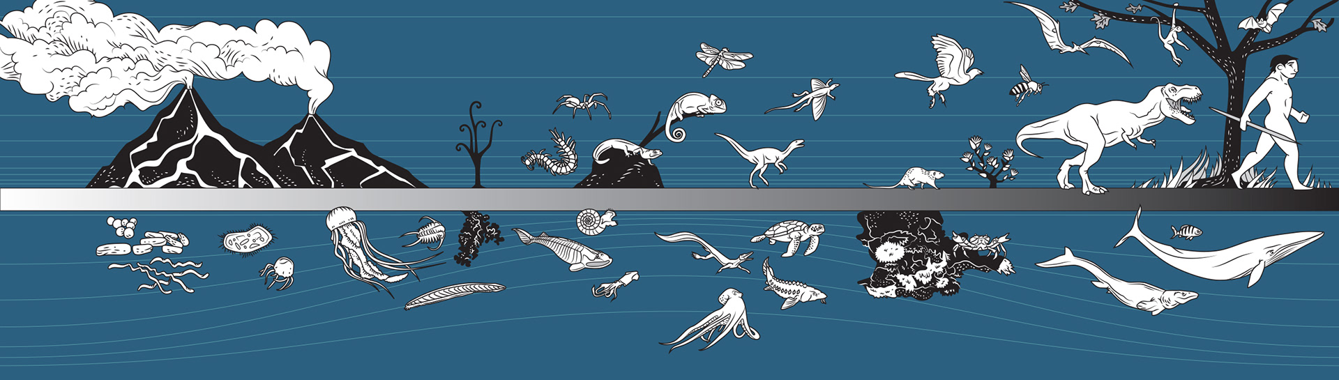 FFSBC marine and land animal evolution diagram