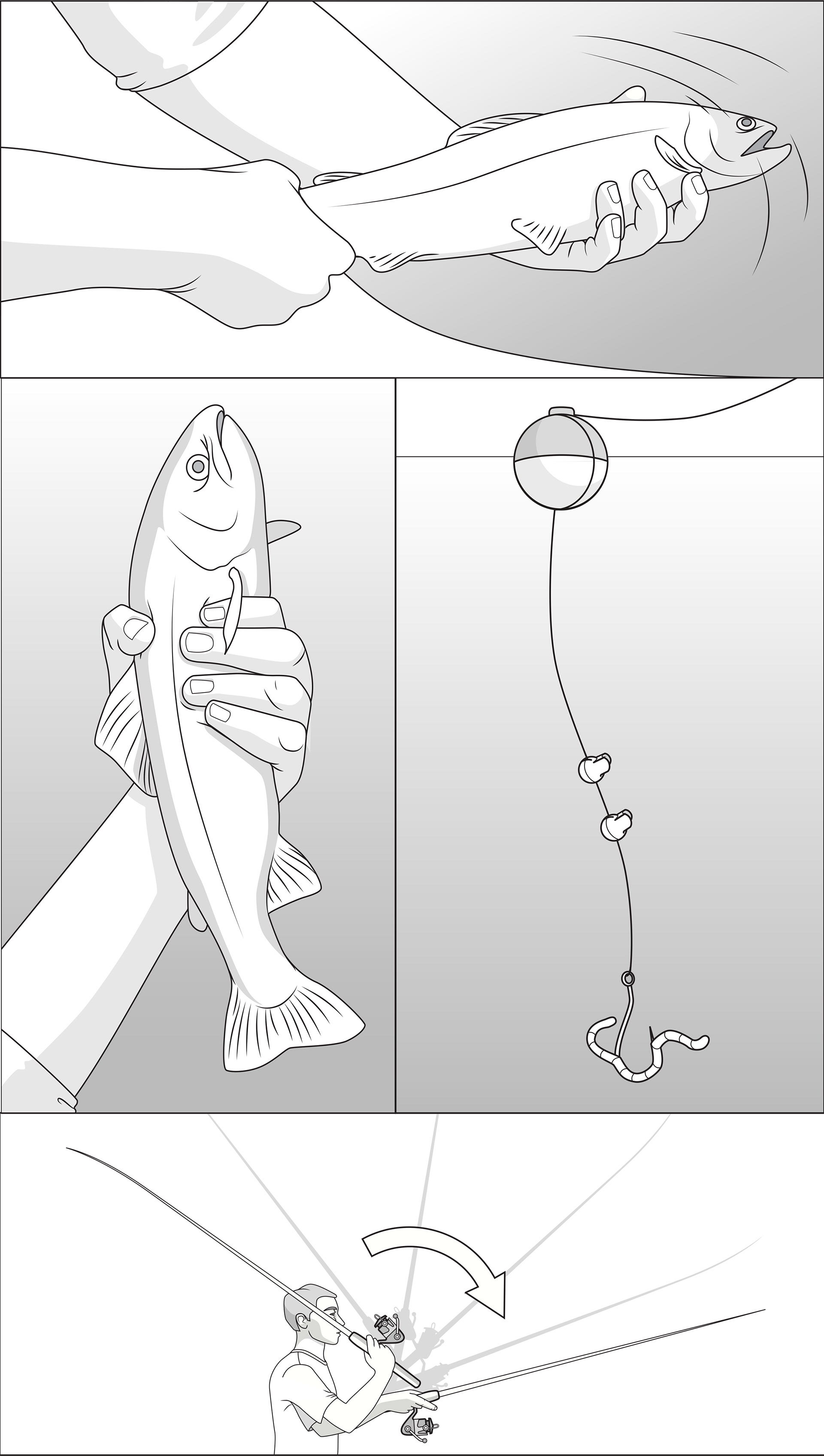 Learn to Fish Illustrations