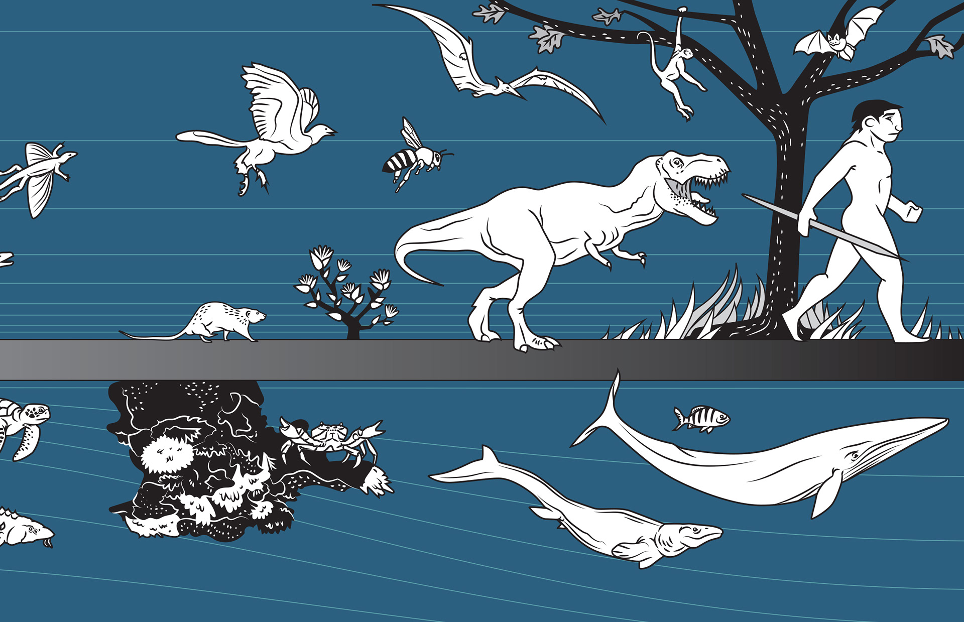FFSBC marine and land animal evolution digital diagram