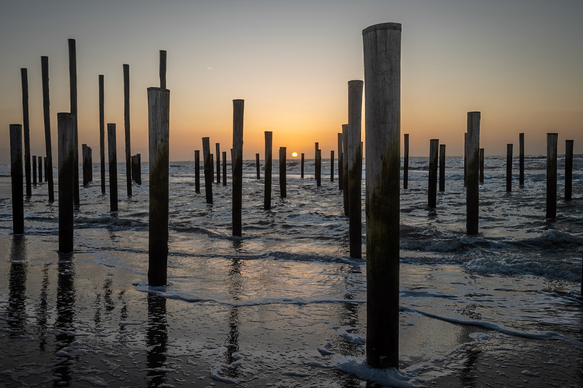 'Palendorp' Petten, NL