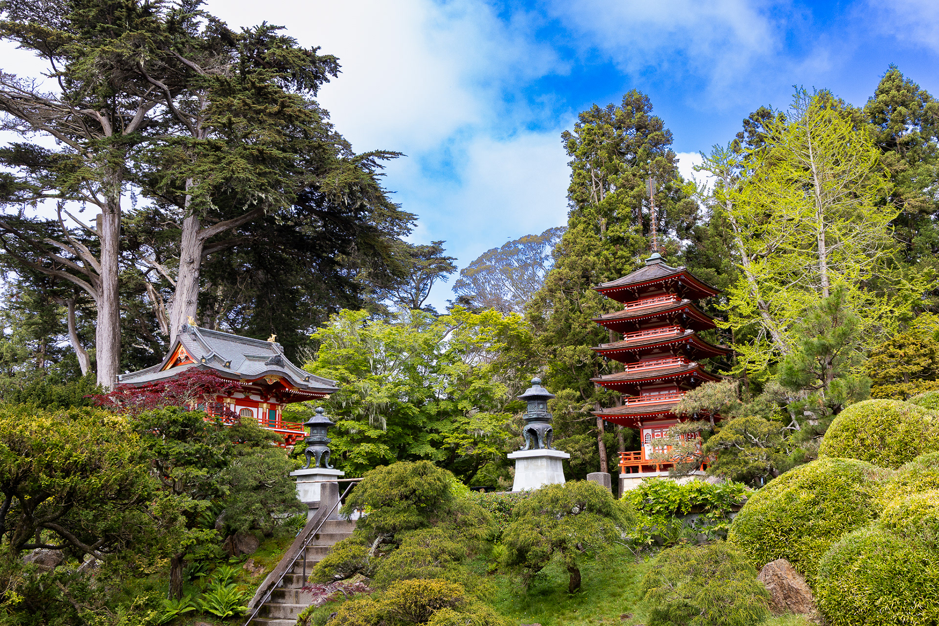 Japanese Tea Garden - Californie