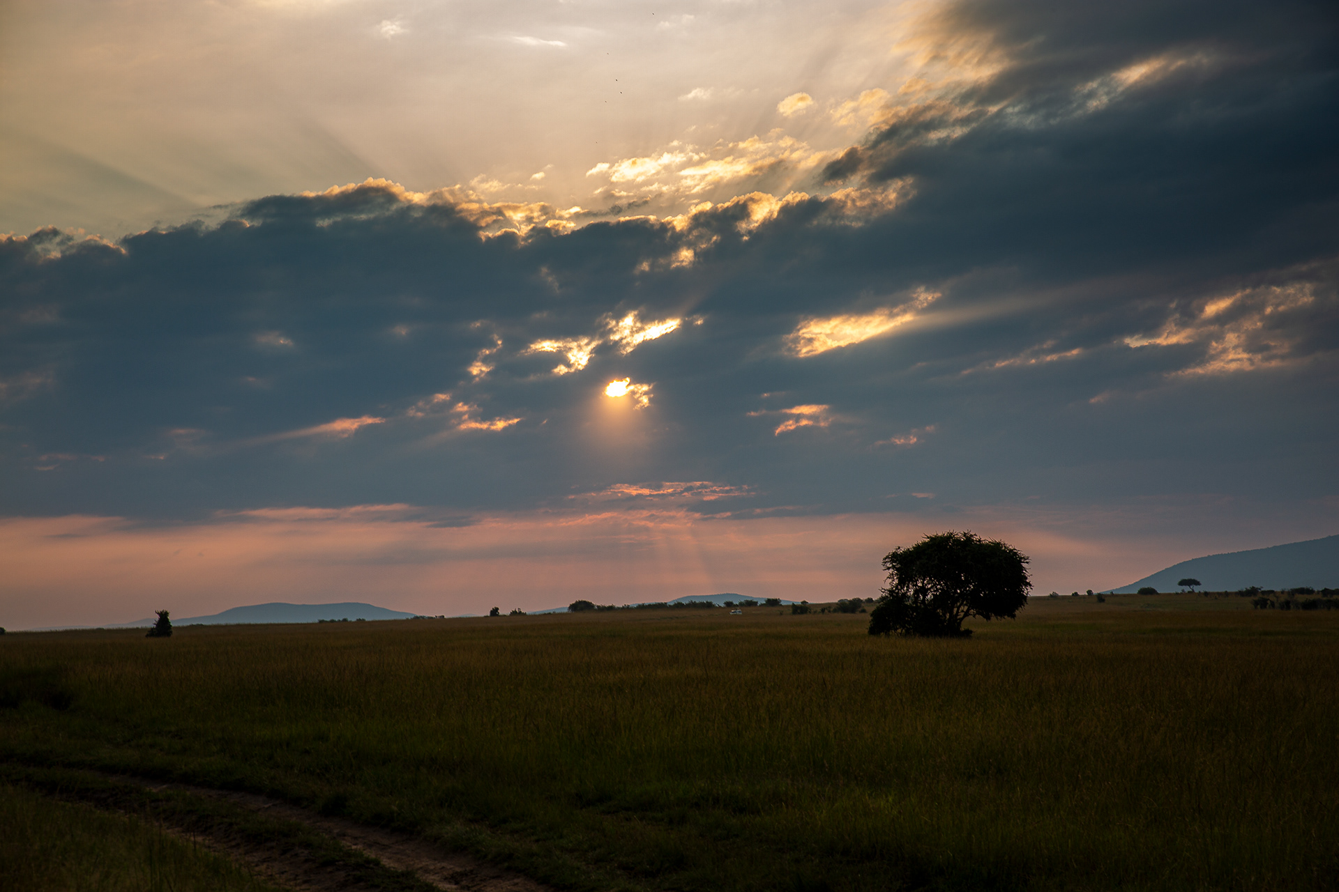 Massaï Mara - Kenya