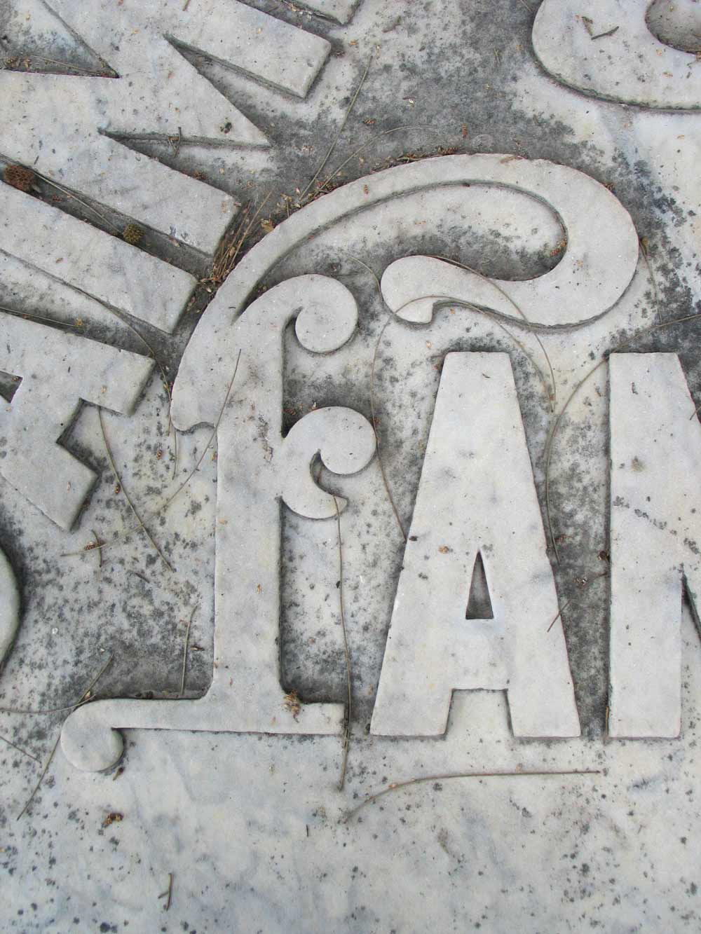 Maja Denzer Typofotos - Cementerio Barcelona
