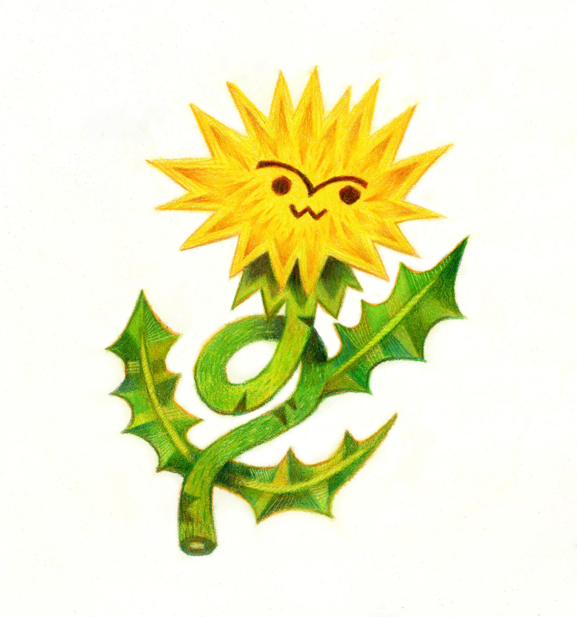 Dandelion - 2023- Colored Pencil on Paper