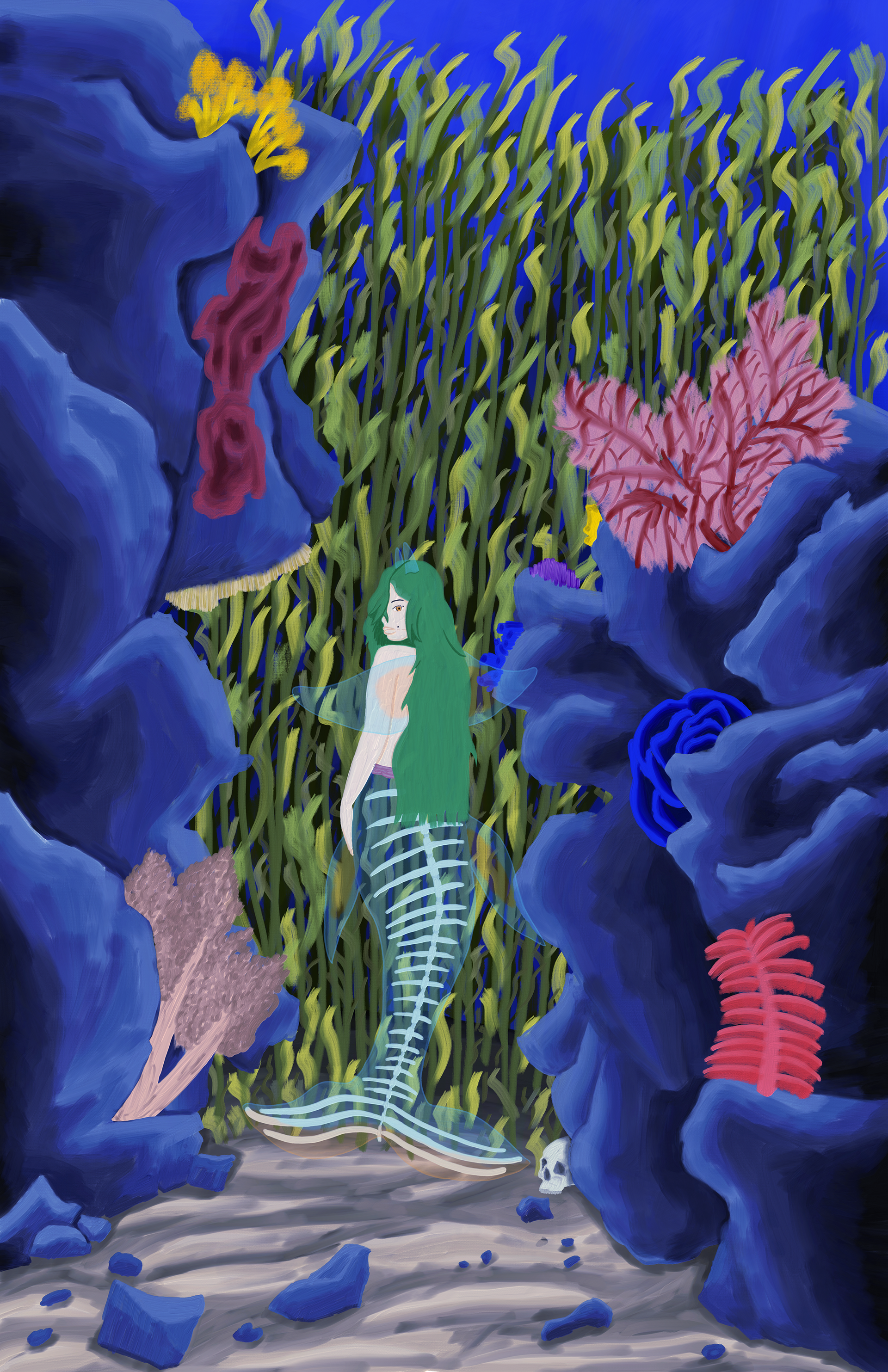Into the seaweed forest