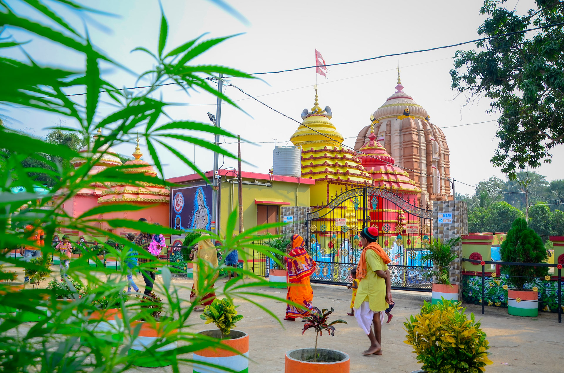 Photo by Shibam Pal on Unsplash