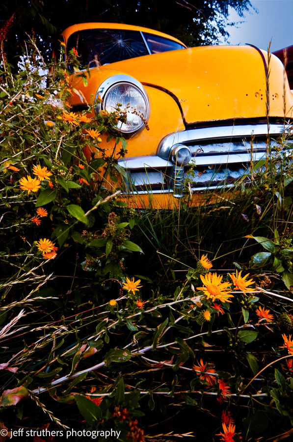 Yellow Car and Wildflowers - Elbert County, CO
