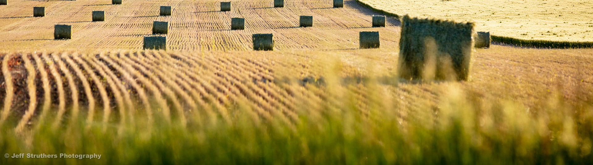 Hay Field - Chadron, NE