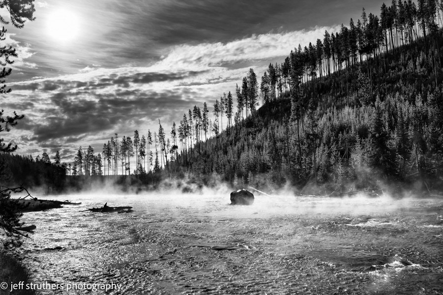 River in Yellowstone National