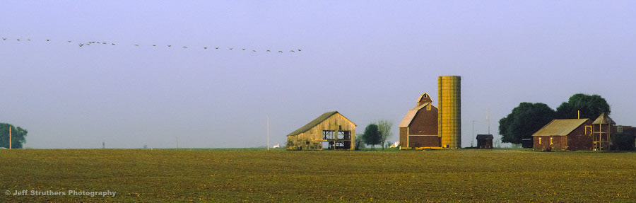 DeKalb County -  Farm and Geese