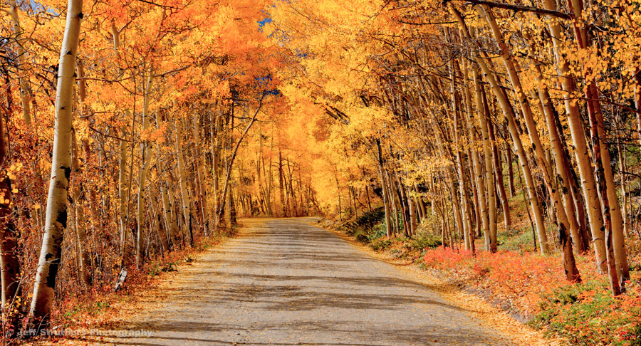 Boreas Pass - Colorado