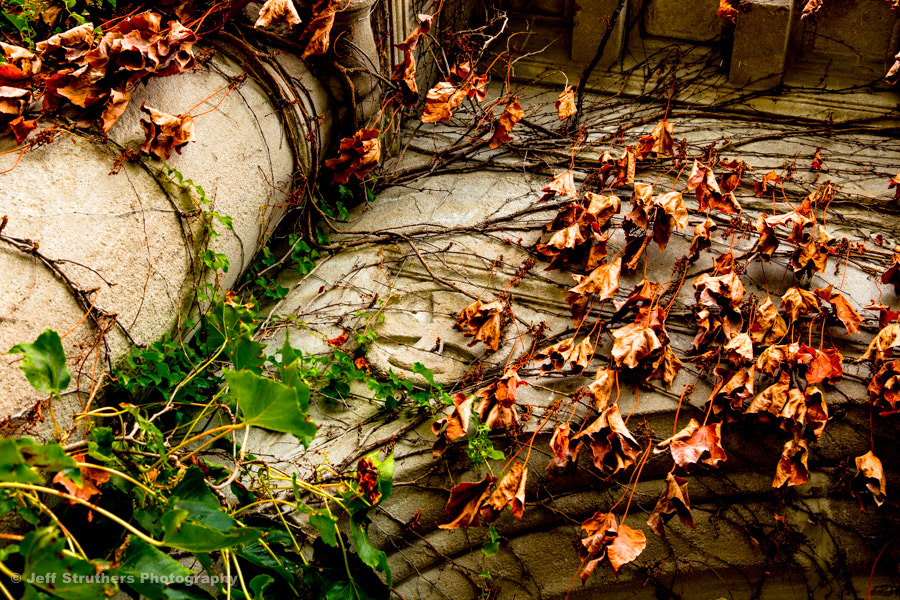 Still Hall - NIU - Close-UP, DeKalb, IL