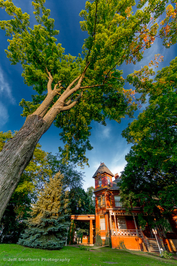 Mansion and Towering Tree on Rt. 23  -  Sycamore, IL