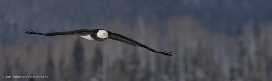 Eagle II - Steamboat Lake, CO