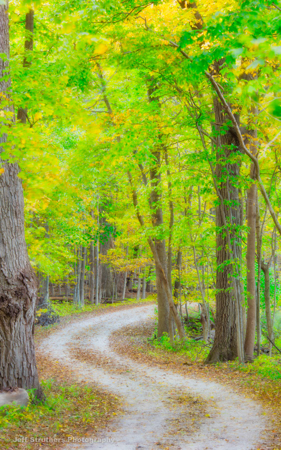 Chief Shabbona County Forest Preserve