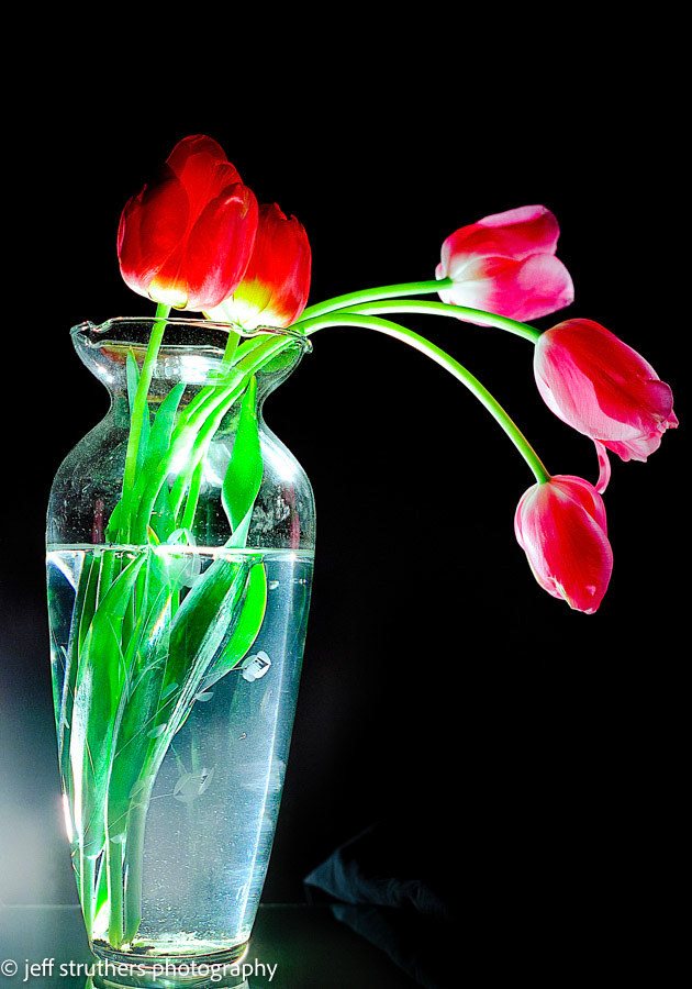 Tulips In Vase - Ektar 25 film