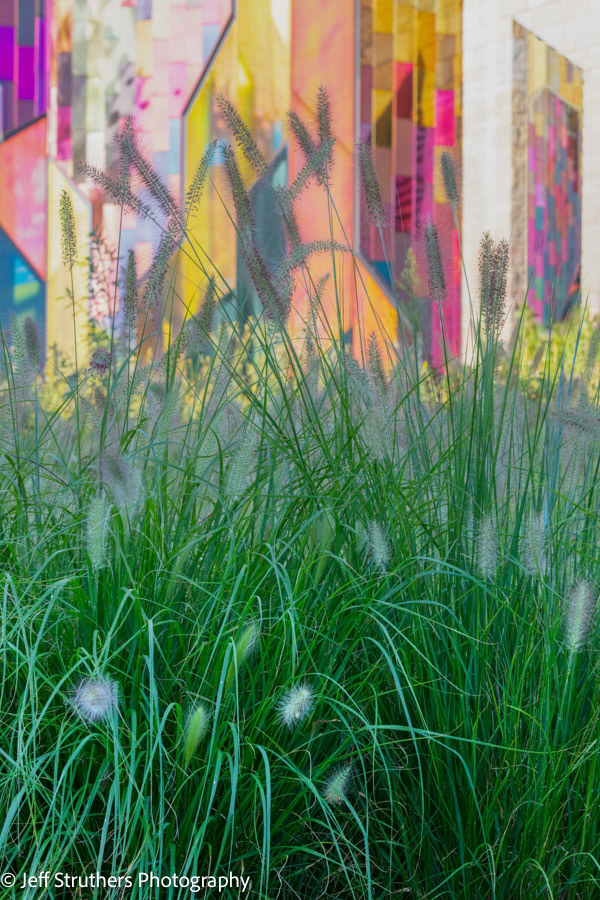 Museum at Prariefire - Grass - Overland Park, KS