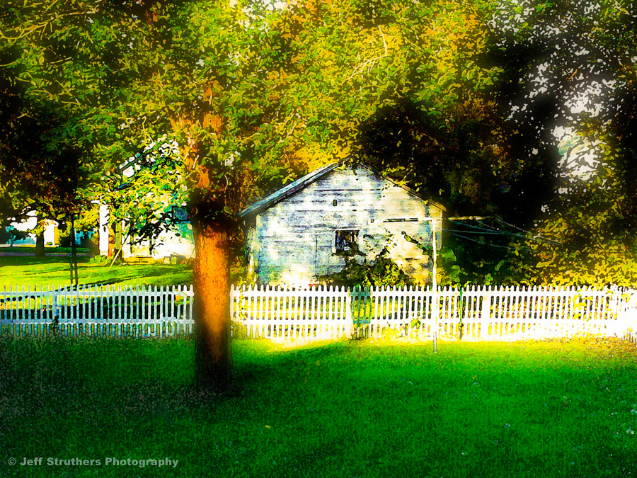 Midwestern Back Yard - Painterly