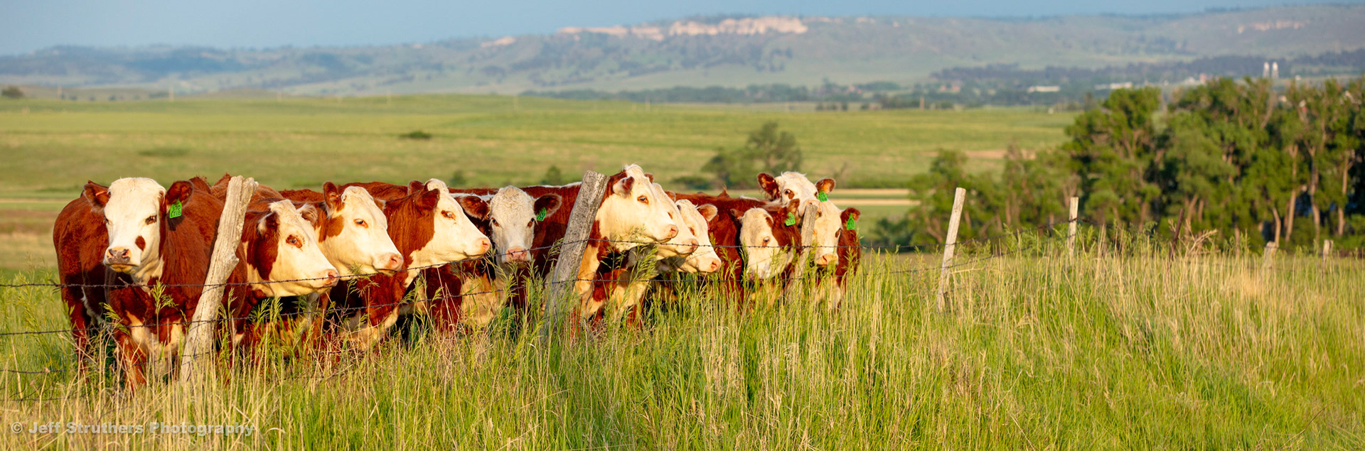 Ash-Creek-Rd - Chadron, NE