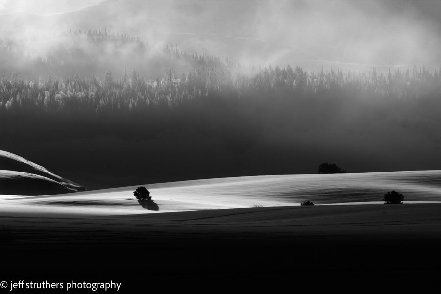 Foggy Winter Morning - Clark, Colorado