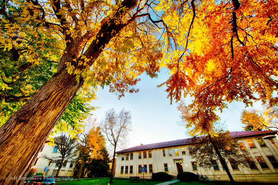 Louis R Weber Bldg.  in Autumn - Fort Collins, CO