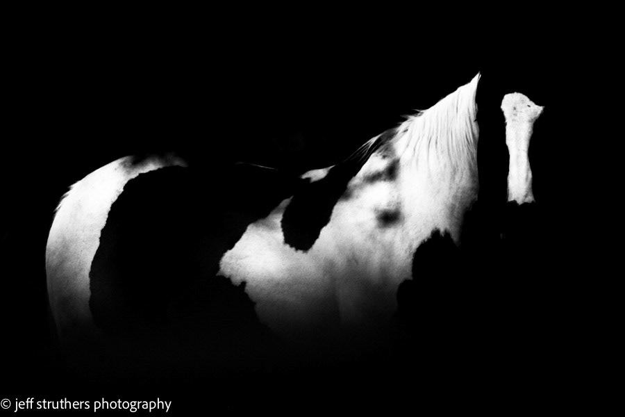 Paint in the Shadows - Elbert County, CO