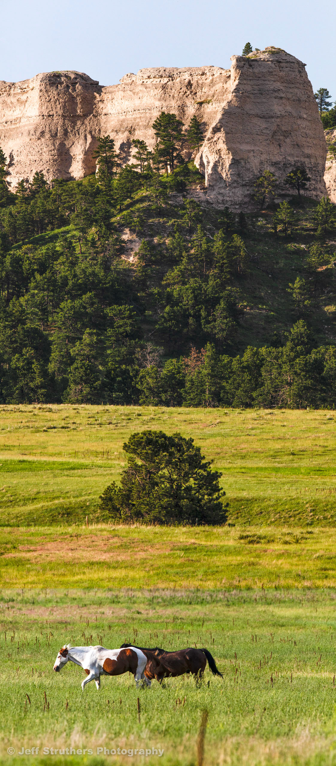 Fort Robinson Horses - Chadron, NE