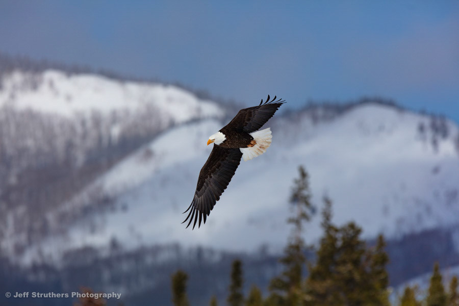 Eagle and Mountain - Steamboat Lake, CO
