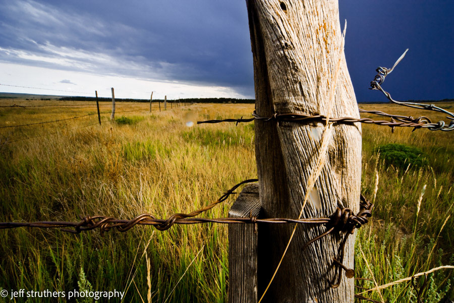 Fence Post - Elbert County, CO