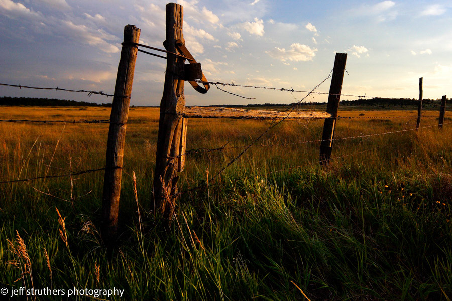 Fence Post and  Latch - Elbert County, CO