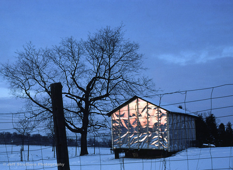 Tin Shed at Sunset - Hollister Ave