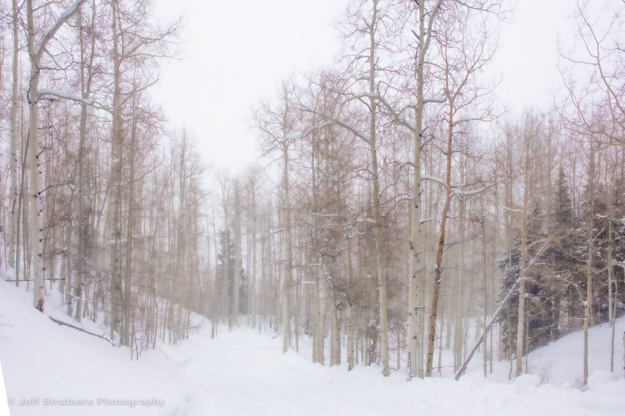 Winter Road - Steamboat Lake, CO