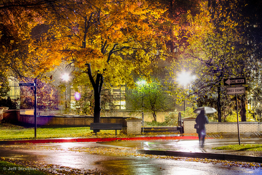 Rainy November Night at CSU - Fort Collins, CO