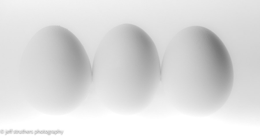 Eggs - Studio