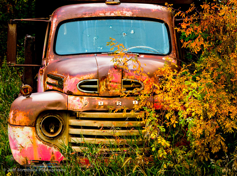 Red Ford Truck in Autumn Brush - near Deckers, CO