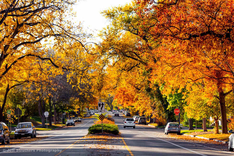 Elizabeth St. from Smith St. looking West - Fort Collins, CO