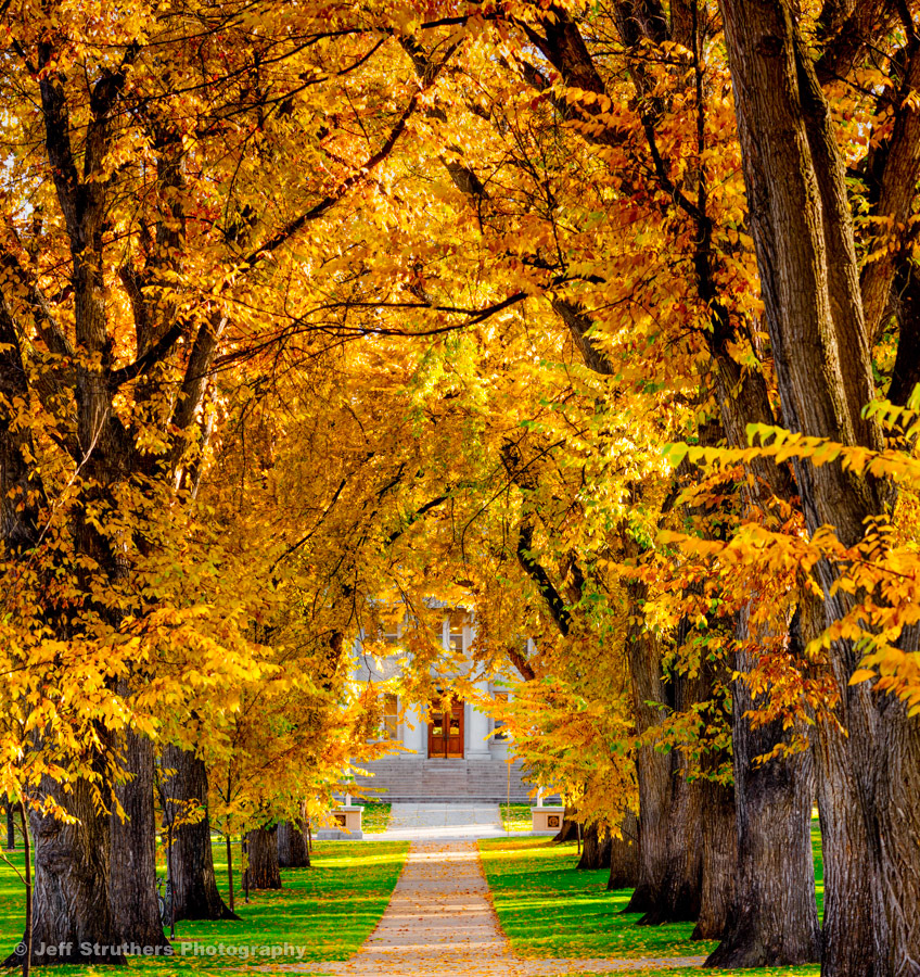 CSU Oval _ Autumn - Fort Collins, CO