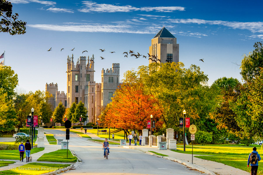 NIU - Geese, Bike, Runner, Dogs   -   10 minute composite image