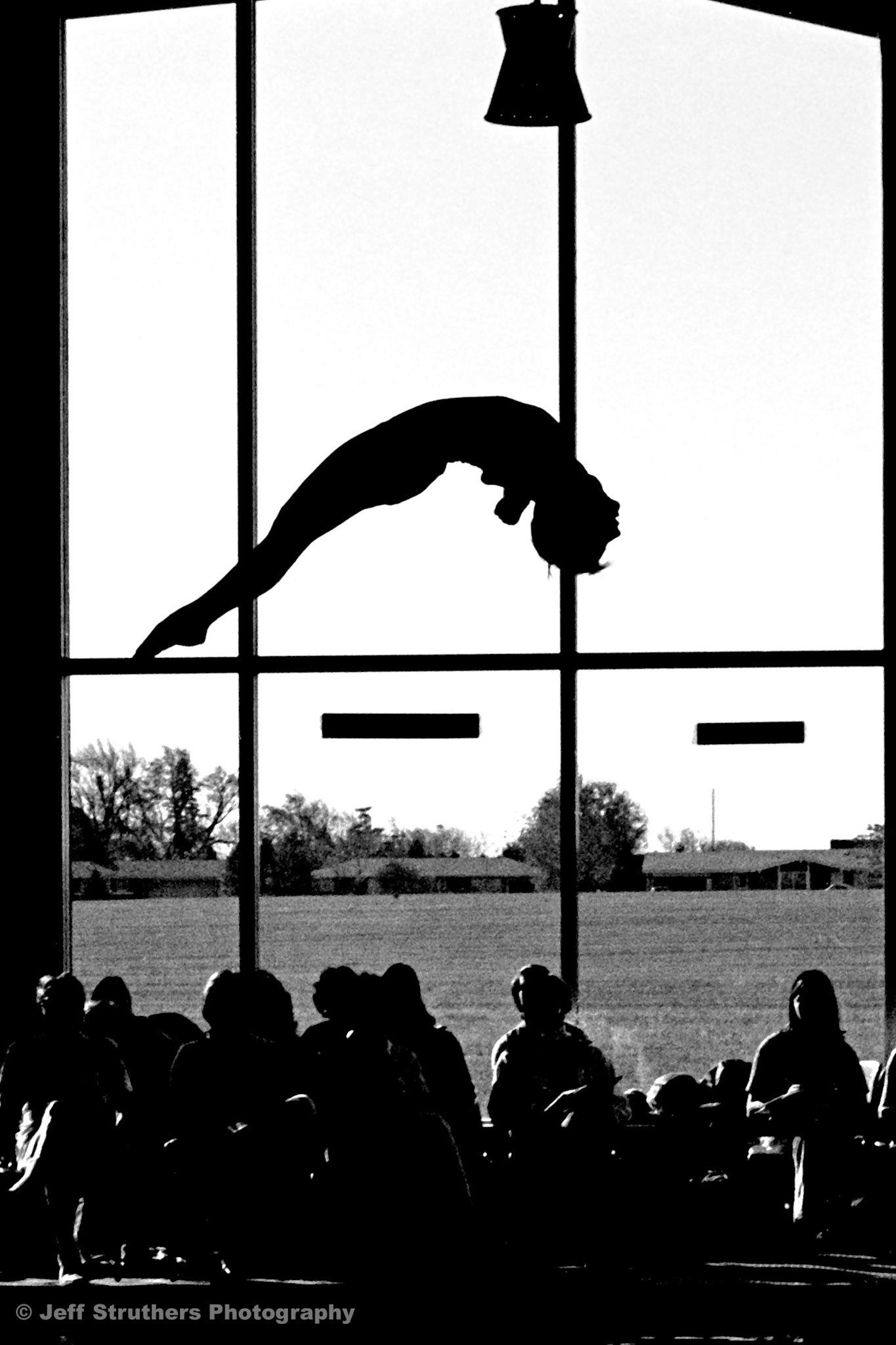 Diver - DeKalb High School 1976
