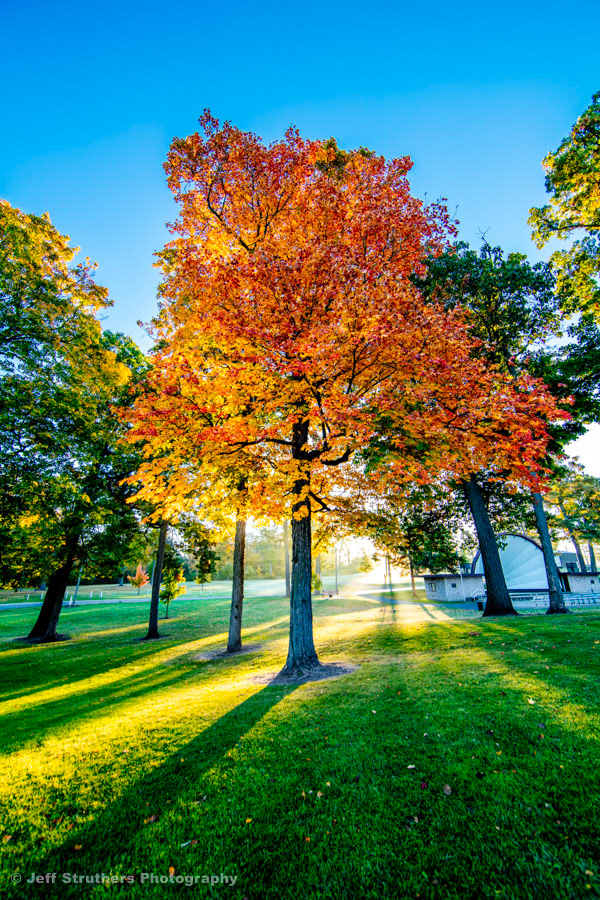 Hopkins Park Band Shell - 1